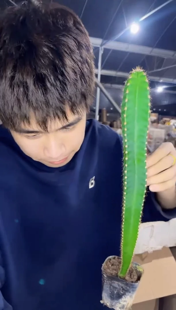 【闪购商品】实生根 秘鲁苹果