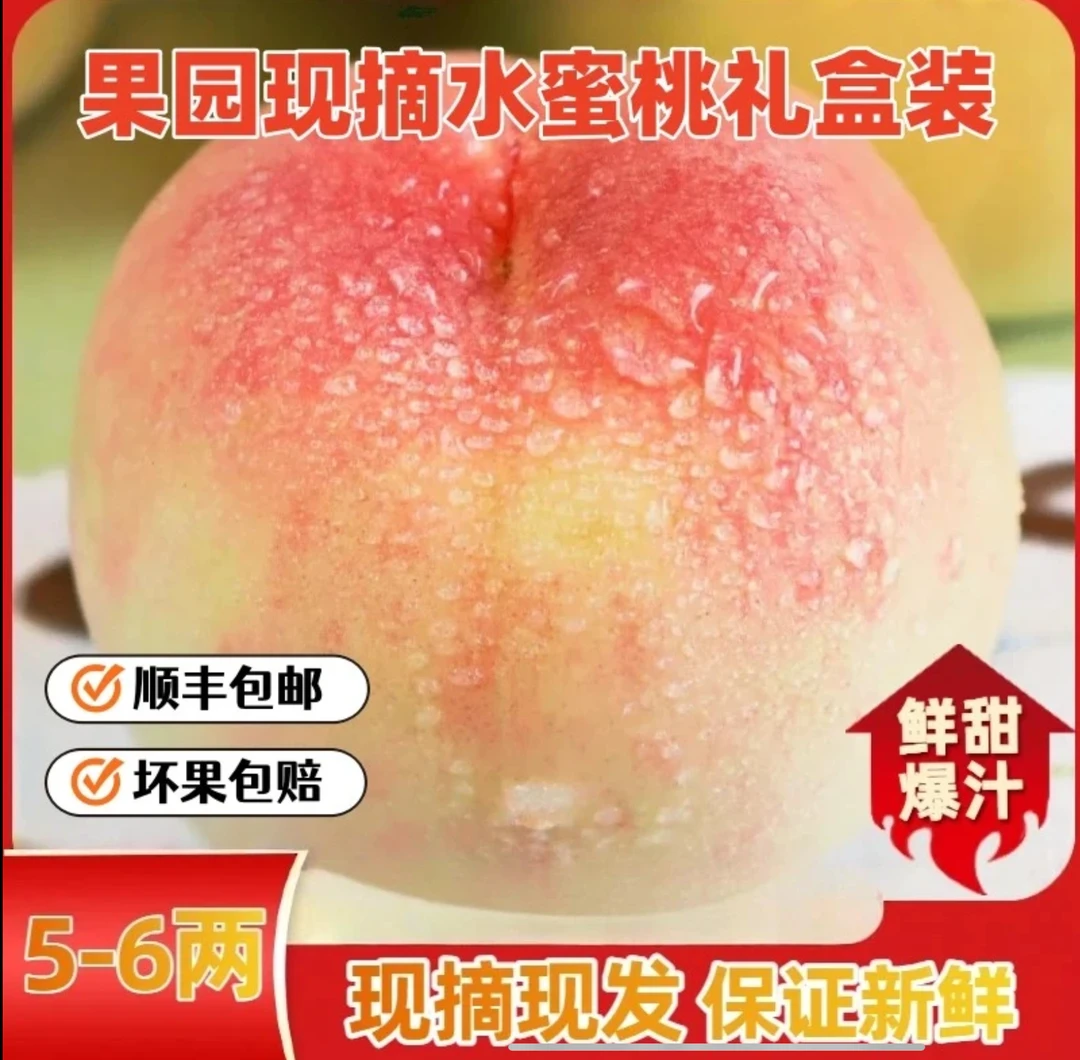 【桃农直供】正宗阳山5-6两8只装水蜜桃现摘现发皮薄鲜甜