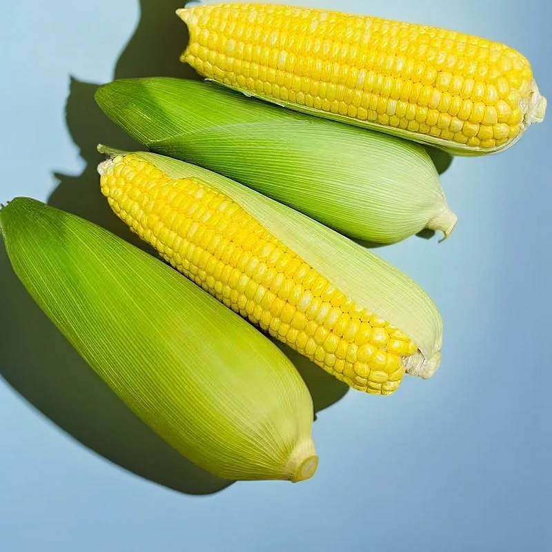 顺丰包邮水果玉米新鲜嫩带壳学生宿舍粗粮现摘现发货特大生鲜食品