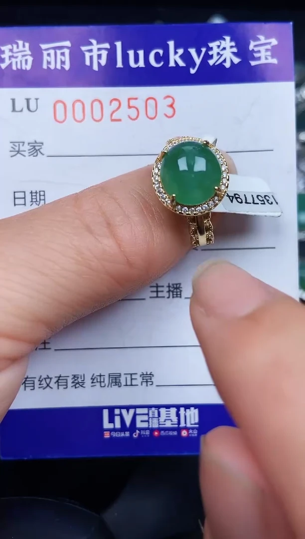 翡翠银S925镶嵌颈饰2503