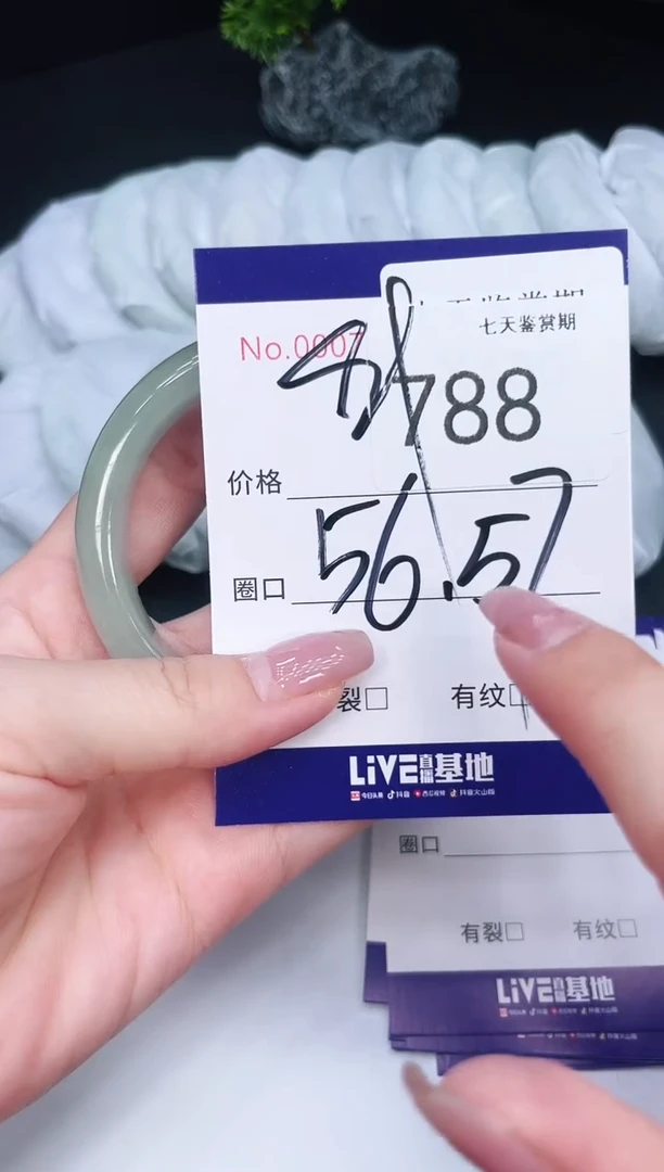 未镶嵌手镯翡翠788