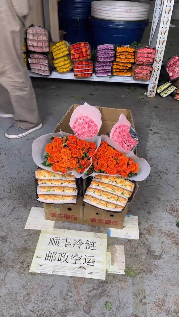 香槟20枝+橙芭比10枝+粉康20枝