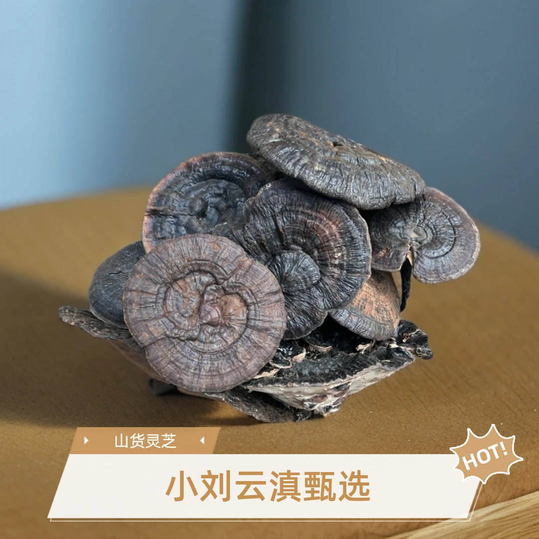 小刘云滇甄选-灵芝