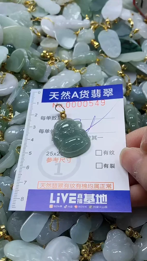 颈饰未镶嵌翡翠纯天然a货翡翠