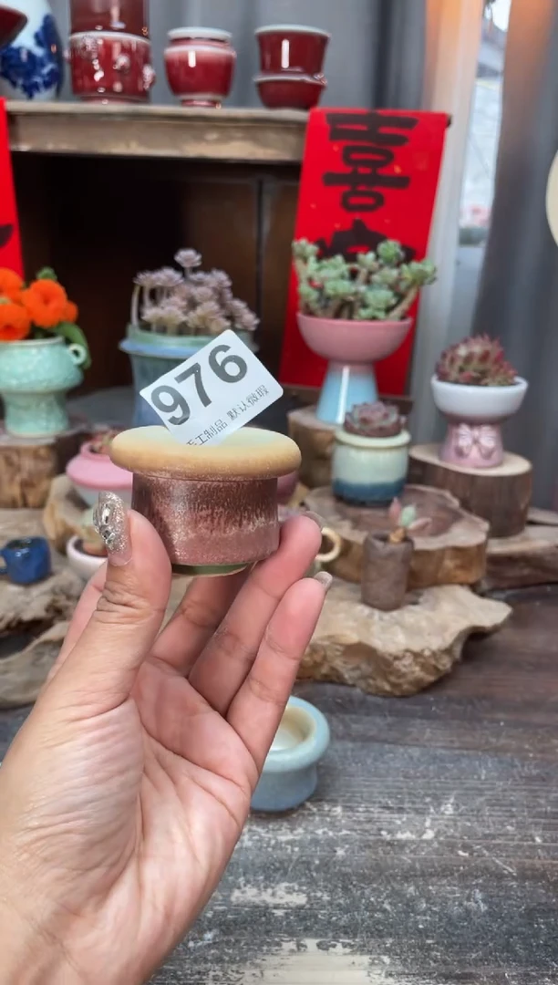 【闪购商品】摆件976知木小芳花盆