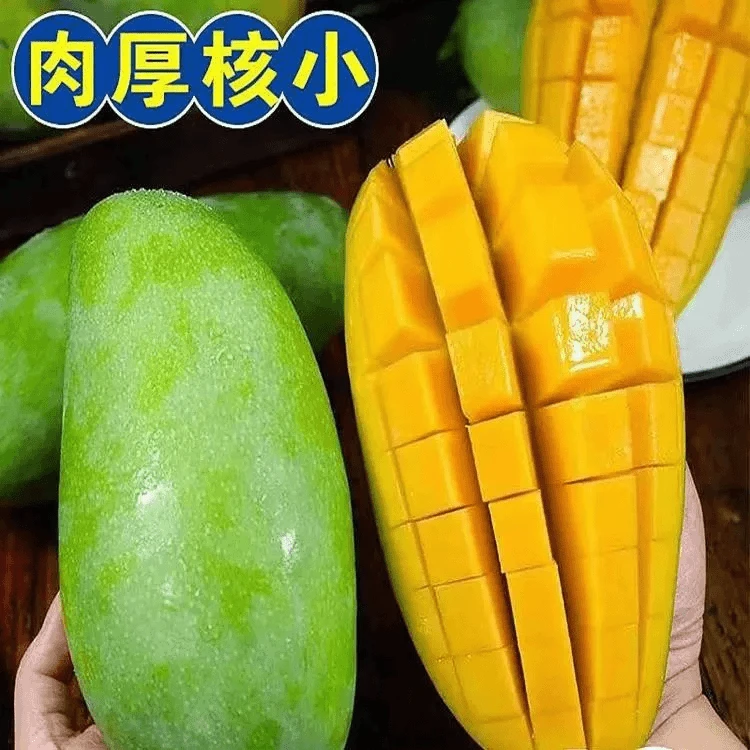 正宗越南进口大青芒新鲜水果爆甜大青芒果整箱