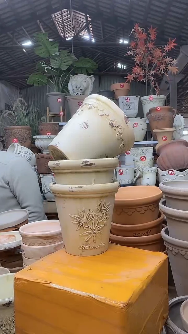 【闪购商品】缸3个15*15作旧陶巴洛香草橄榄无托