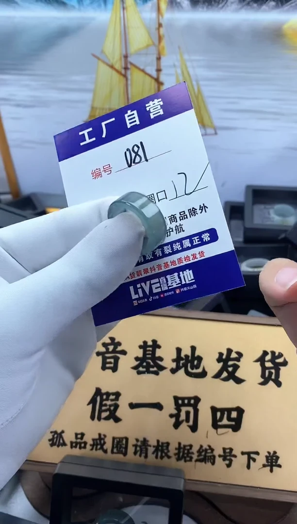 未镶嵌戒圈翡翠081