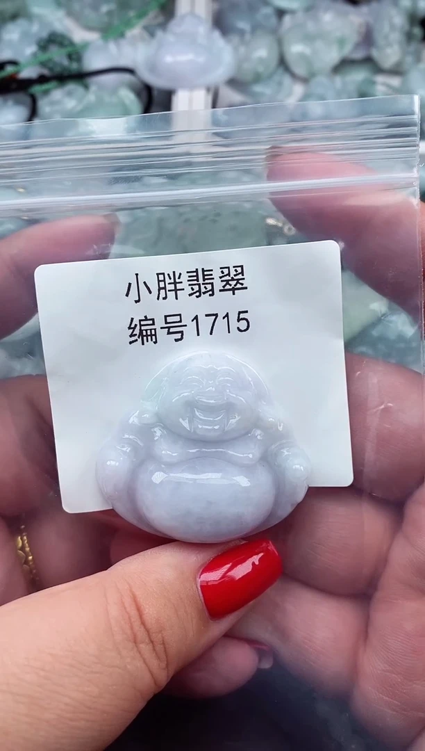 颈饰未镶嵌翡翠缅甸天然A货翡翠1715