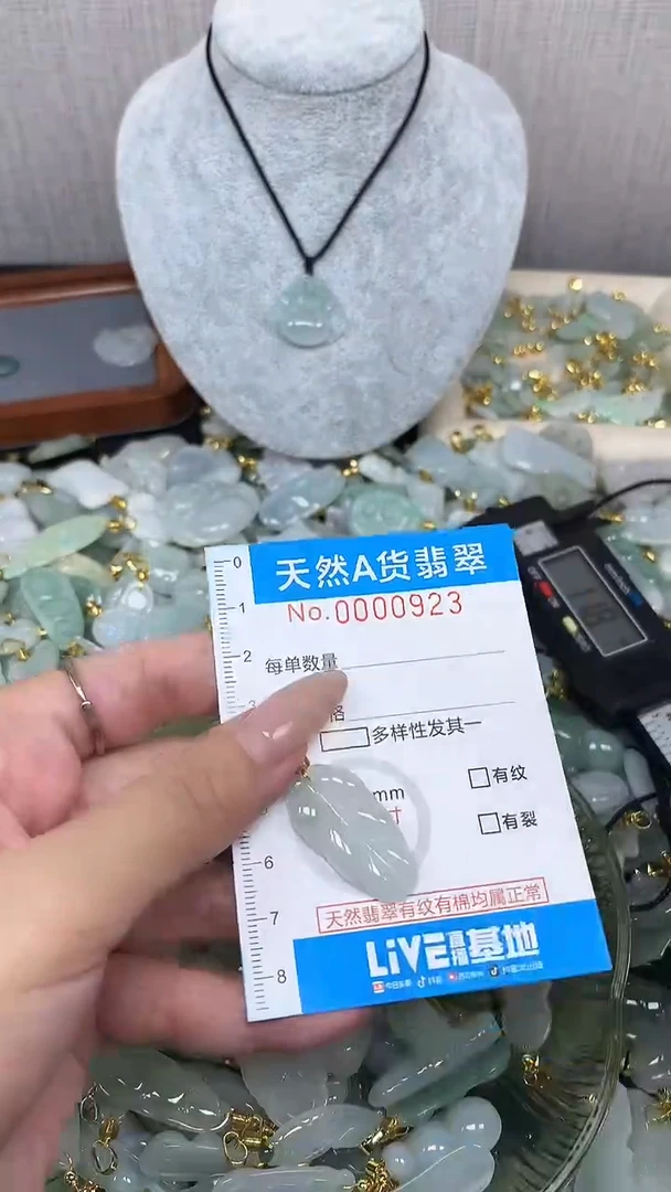 翡翠未镶嵌颈饰净货挂件-0923