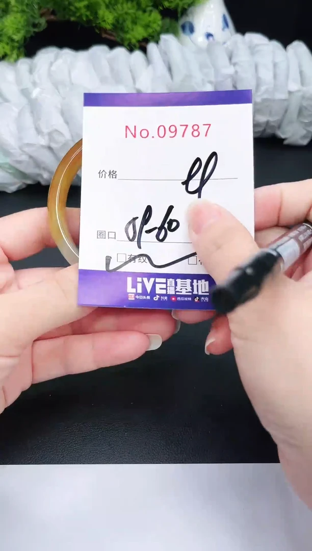 未镶嵌手镯翡翠9787