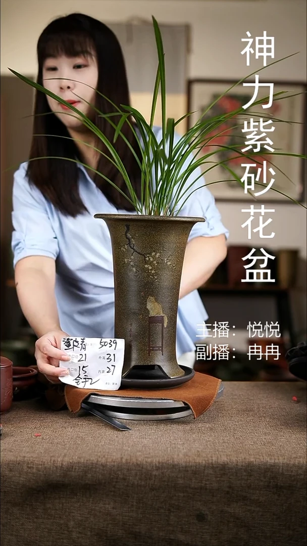 紫砂花盆紫砂花盆5039+z