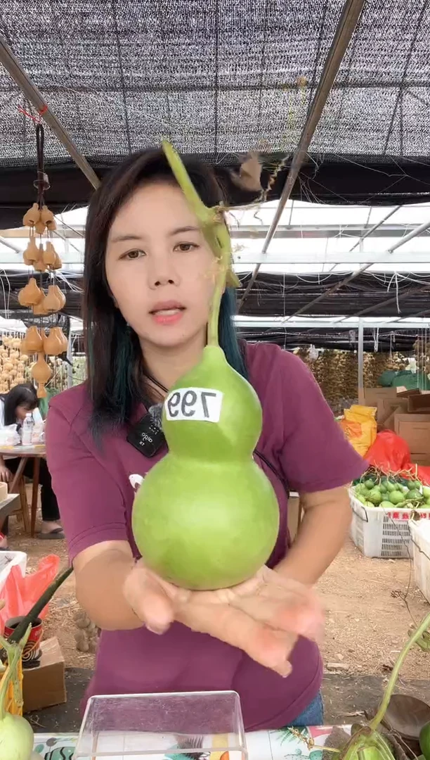 799天然葫芦摆件 一物一拍龙头不保售后