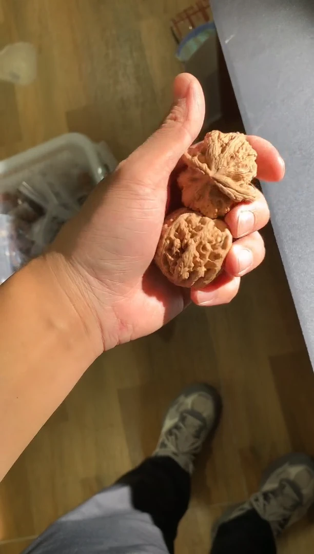 手串金刚菩提330