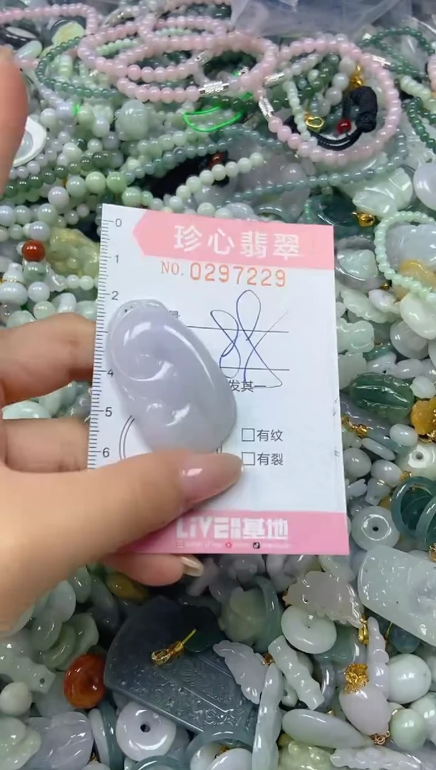 翡翠未镶嵌颈饰闪购0297229