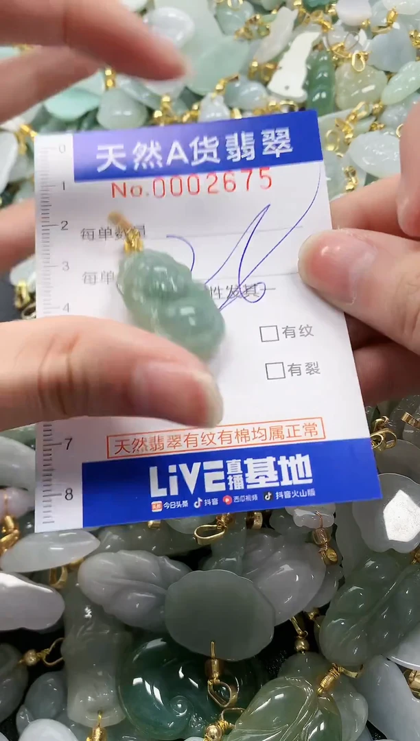 颈饰未镶嵌翡翠纯天然a货翡翠