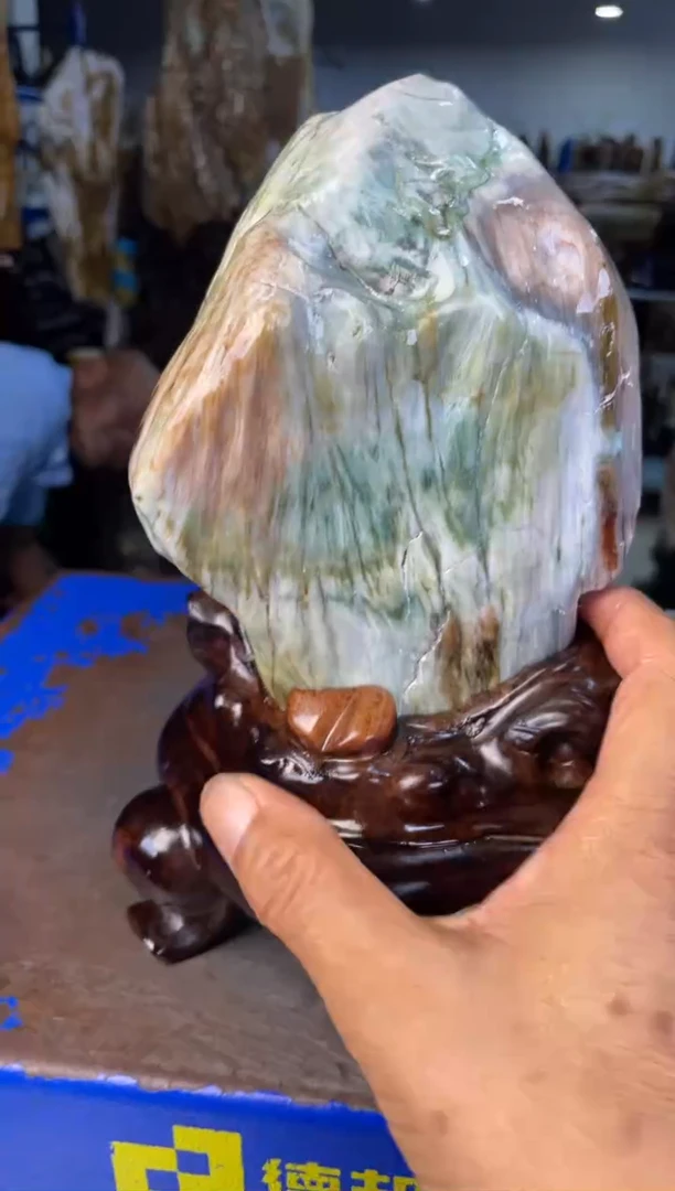 未镶嵌摆件硅化玉41