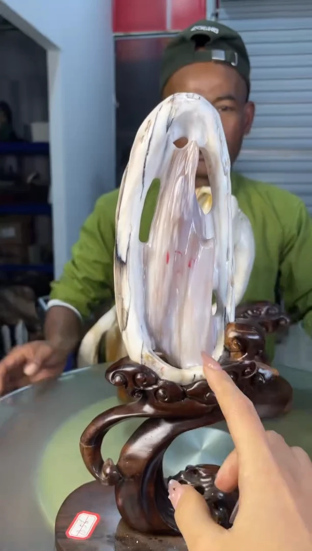 未镶嵌摆件硅化玉68