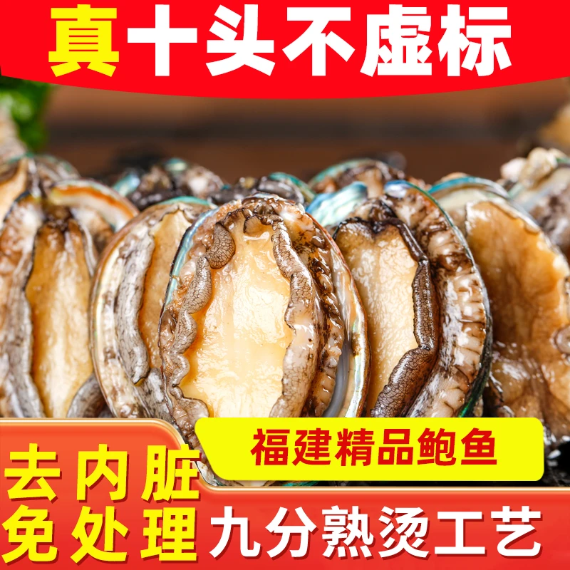 【速冻】三去大鲍鱼500g/包 鲜嫩肉厚饱满新鲜熟冻 去齿去内脏