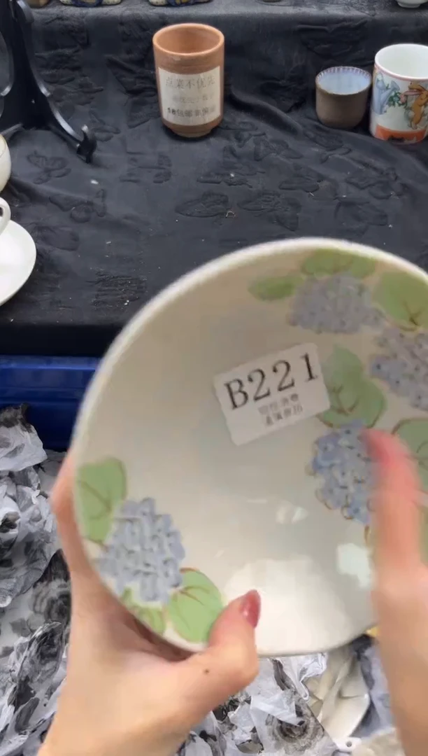 瓷片?       B221