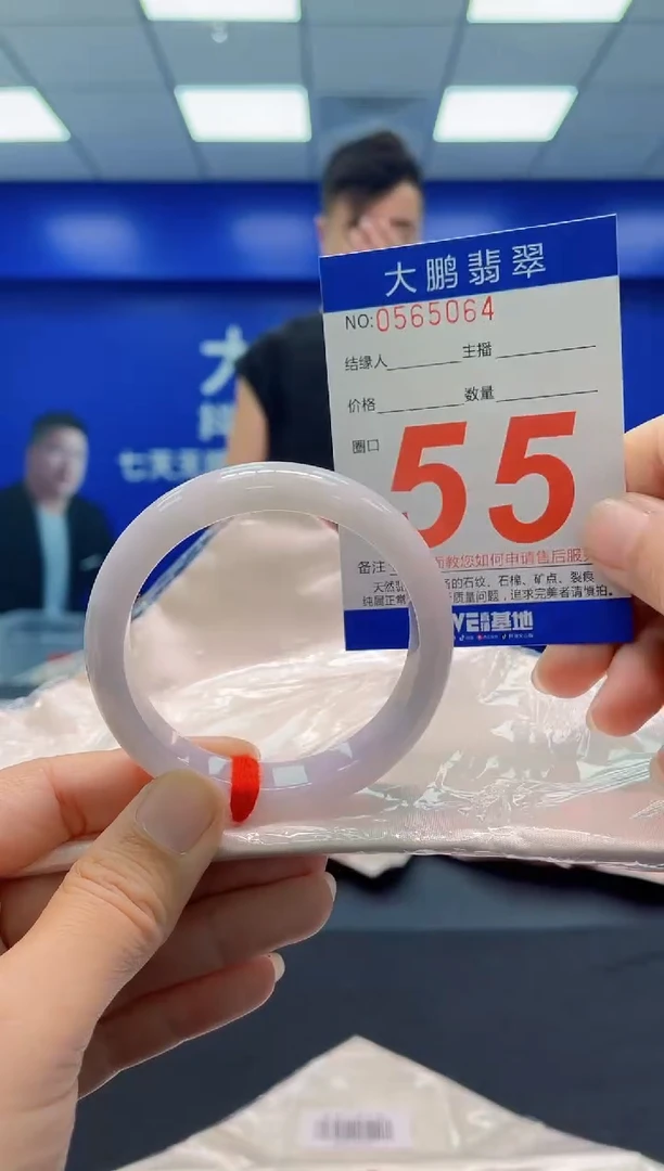 未镶嵌手镯翡翠AAAAAAAAA