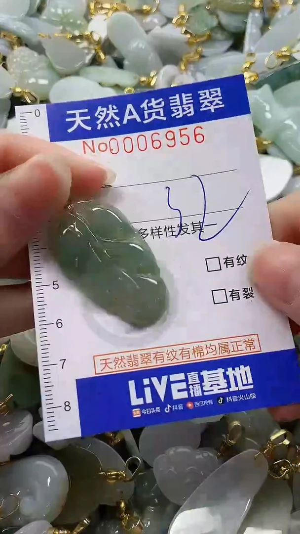 颈饰未镶嵌翡翠纯天然a货翡翠