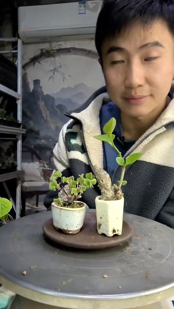 虬****妹中青园艺一物一拍69