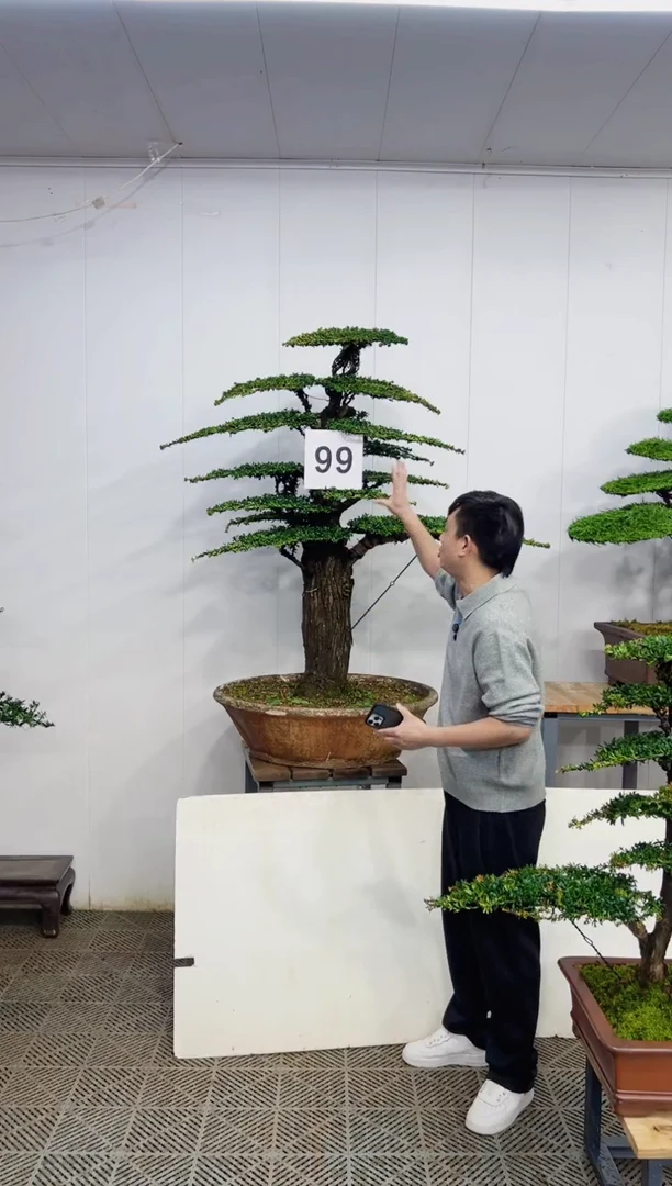 无花朵一物一拍一物一拍