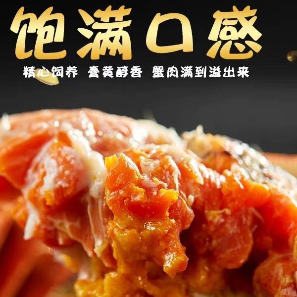 【活蟹】江苏大闸蟹母2.5-2.3两8只/10只鲜活螃蟹顺丰直发