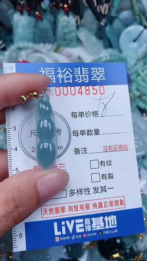 【闪购商品】翡翠颈饰未镶嵌...0004850