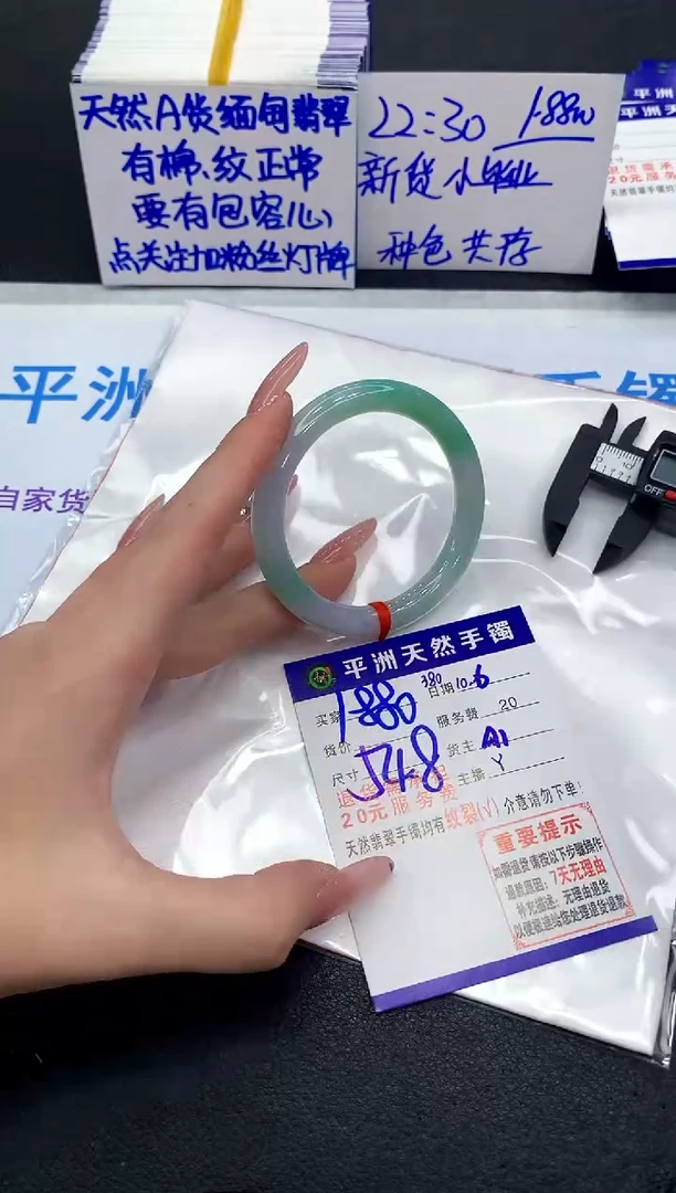 未镶嵌手镯翡翠111111