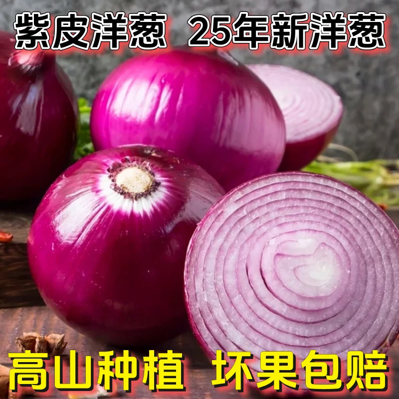 【紫皮洋葱】云南当季高山种植水果紫皮洋葱紫色香甜产地直发