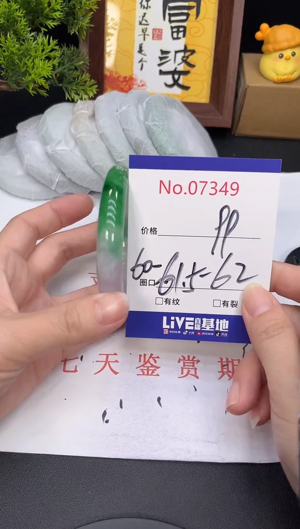 未镶嵌手镯翡翠7349