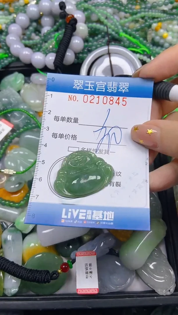 颈饰未镶嵌翡翠闪购C0210845