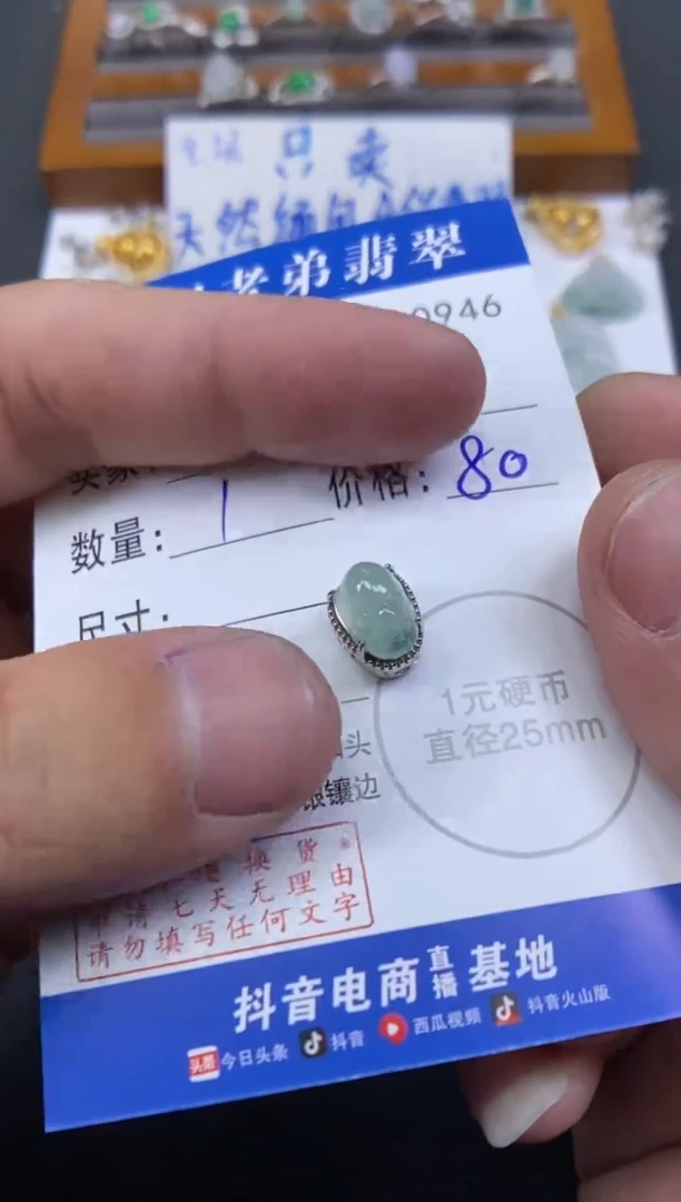 【闪购商品】翡翠颈饰银S925镶嵌多样性发其中一件