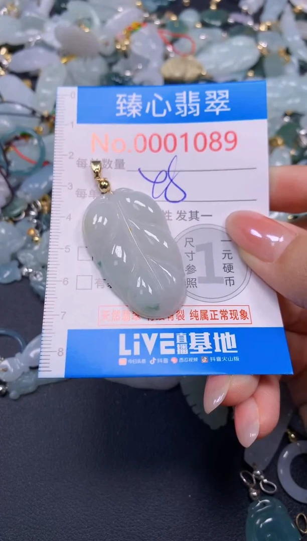 颈饰未镶嵌翡翠1089