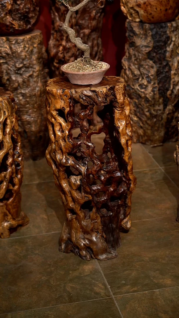 木雷击枣木花架