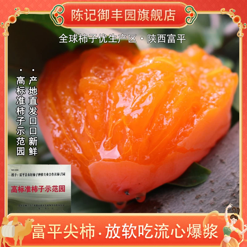 【陈记御丰园】陕西富平新鲜采摘大尖柿16个/9个单果110-150g放软吃