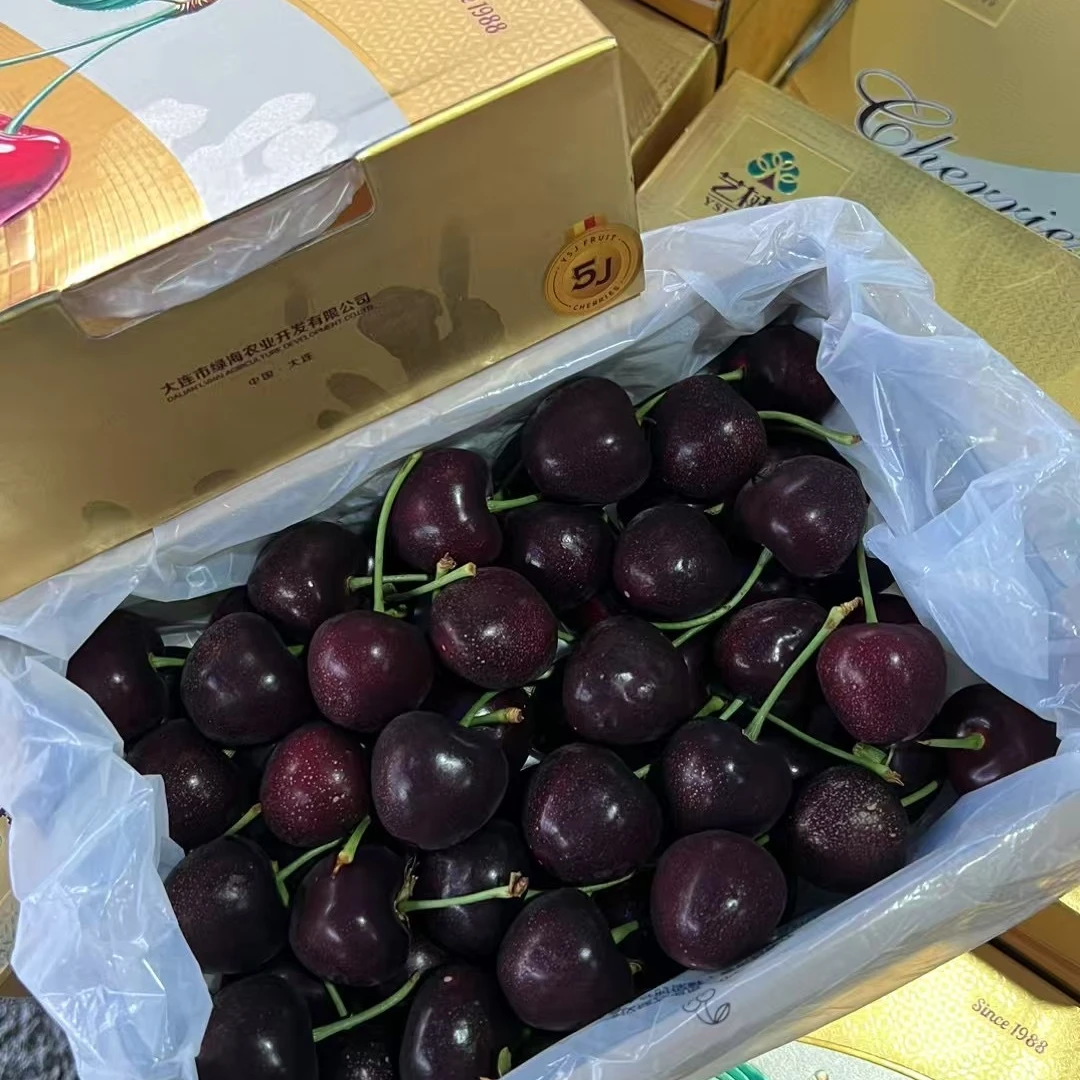 【礼盒】艺术家俄罗斯8号大连樱桃原箱 | 顺丰包邮