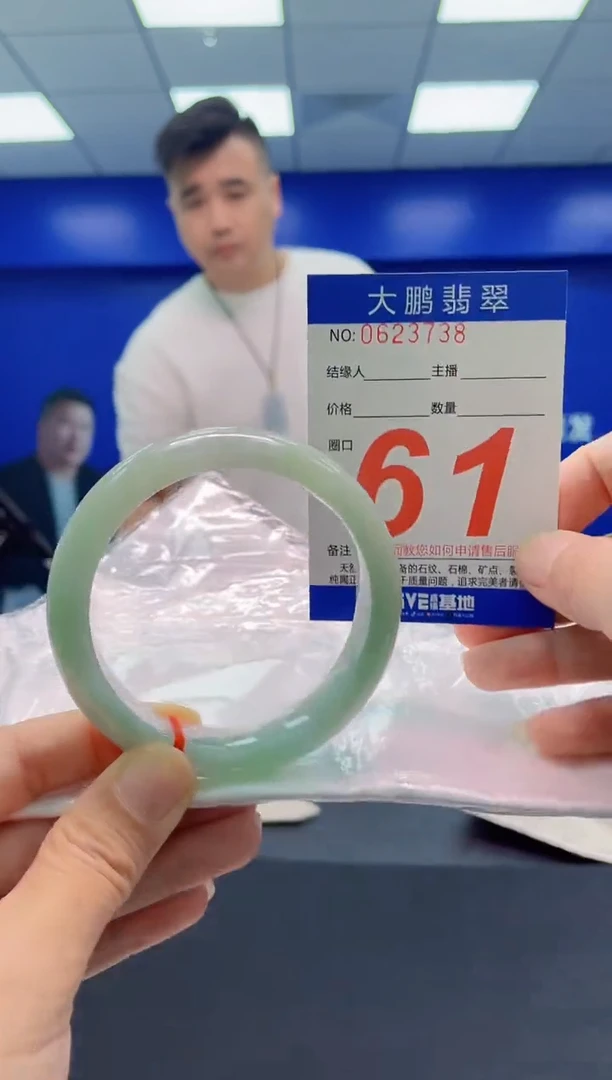 未镶嵌手镯翡翠AAAAAAAAA