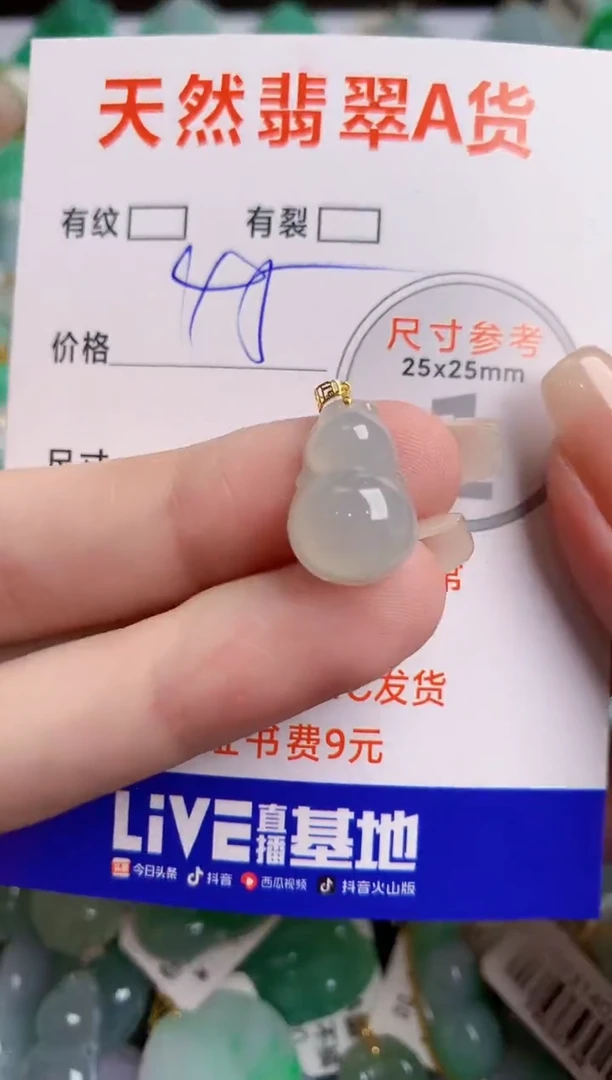 翡翠18K金镶嵌颈饰13006453