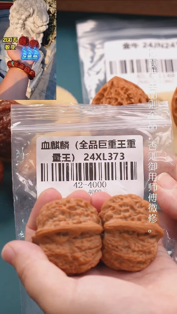 文玩核桃把件42血麒麟狮子头（全品巨重重量王）