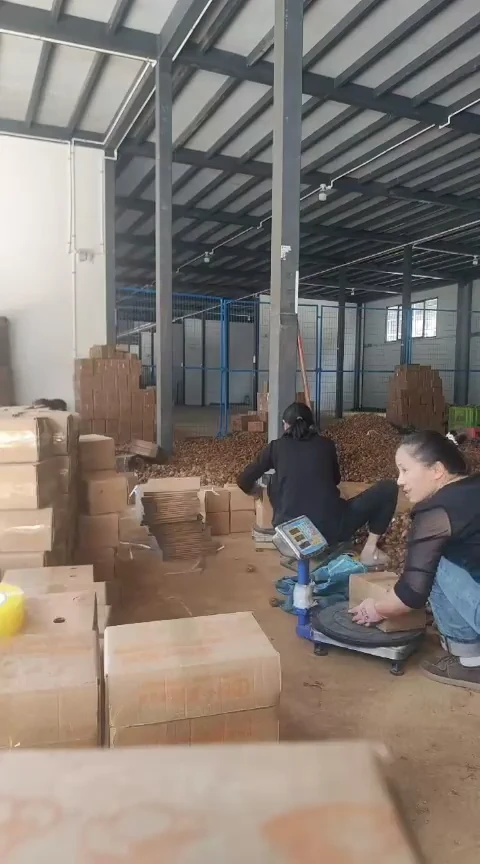 黄姜中国大陆云南高山小黄姜