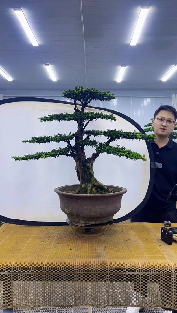 懒***己000000000000000000