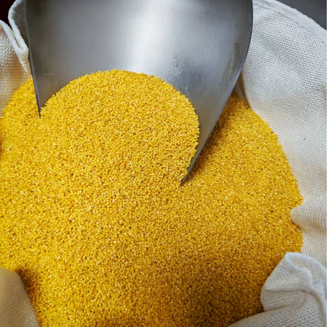 SHILINGYA/石崚崖涞源县石崚崖小米