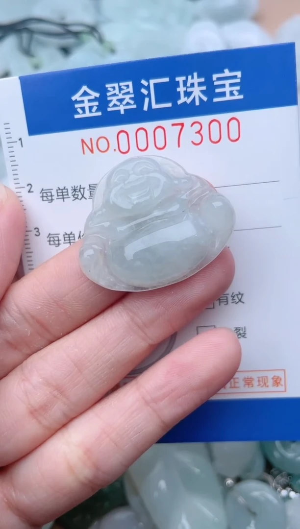 颈饰未镶嵌翡翠7300