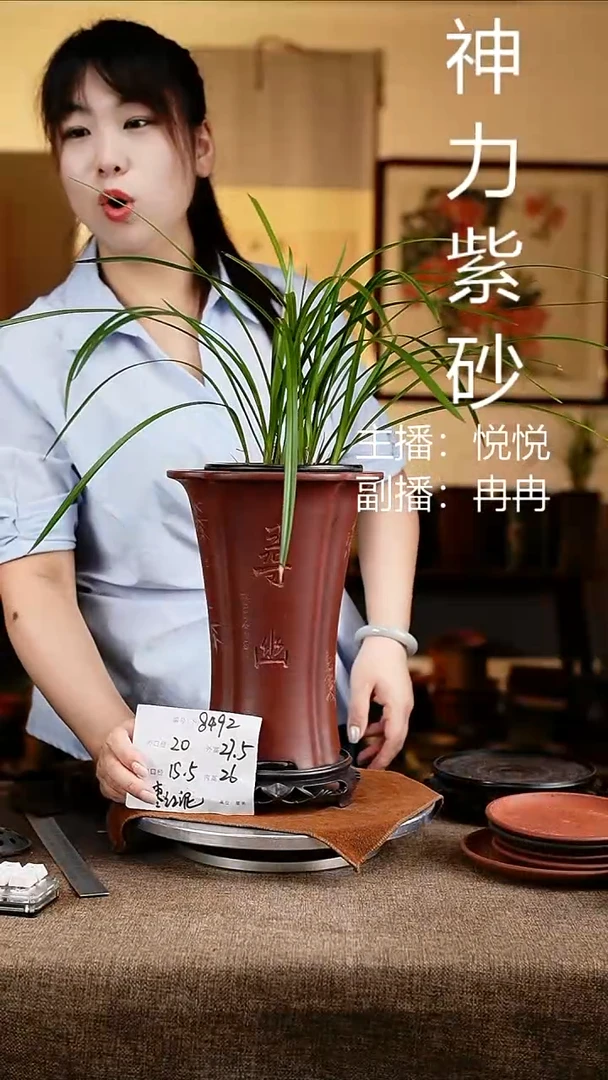 紫砂花盆花卉工艺8492+s