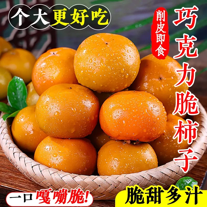 【5斤】正宗陕西巧克力脆柿子脆皮甜柿甜脆新鲜水果应季现摘现发