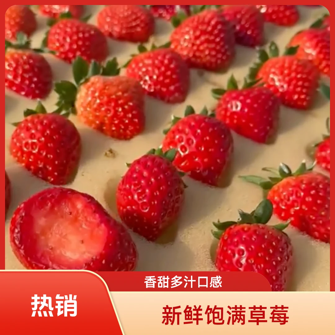 【赠品】正宗丹东九九草莓半斤试吃装