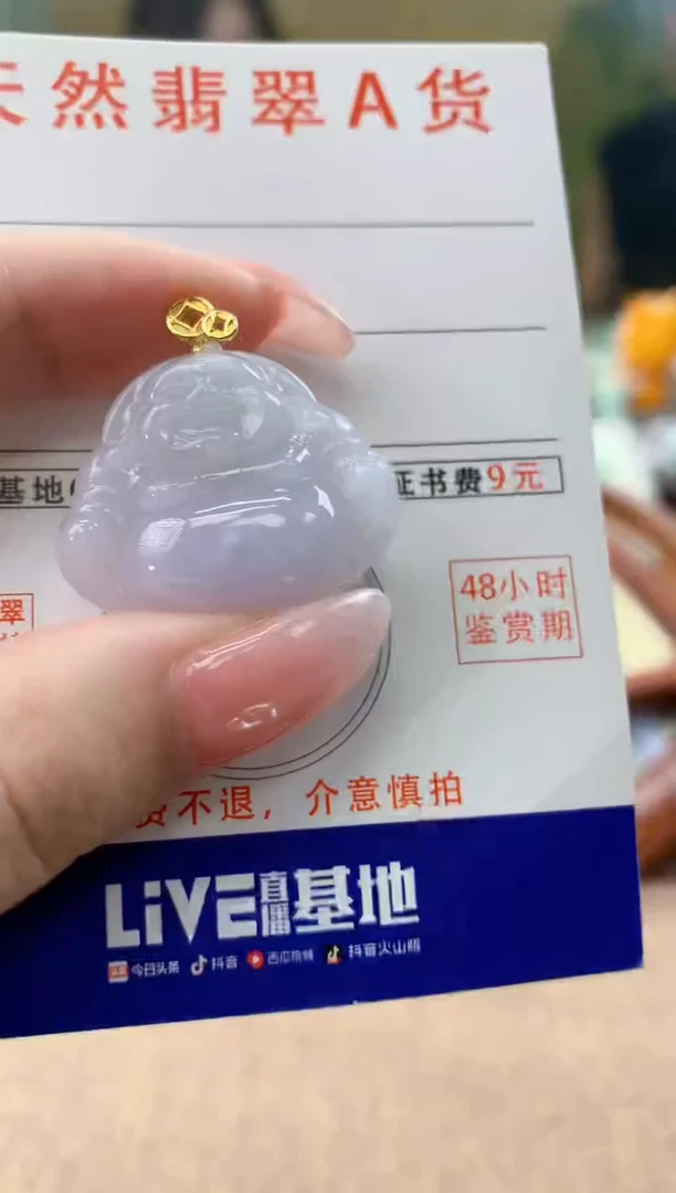 颈饰未镶嵌翡翠天然A货翡翠挂件